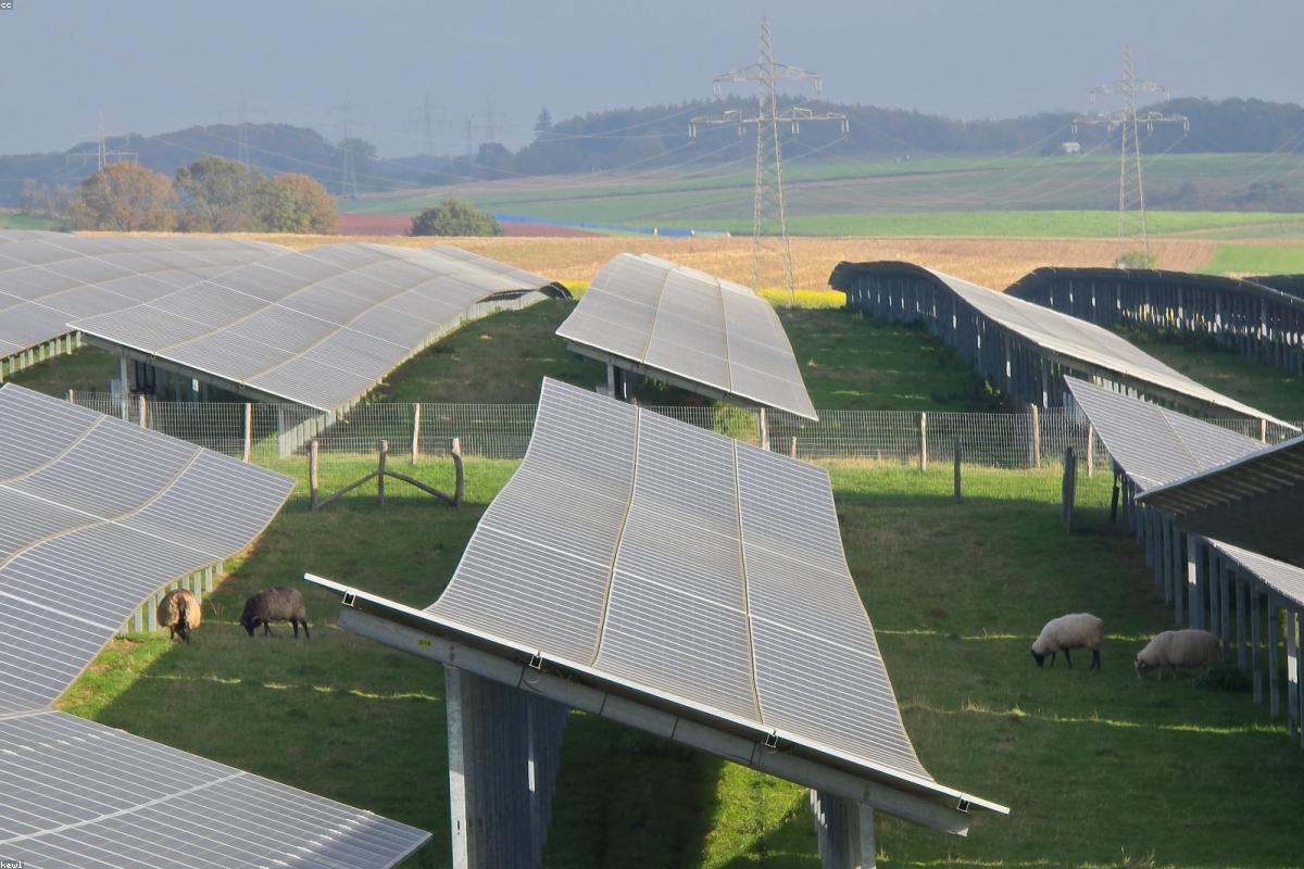 Large-scale solar power plant with panel arrays and transmission infrastructure