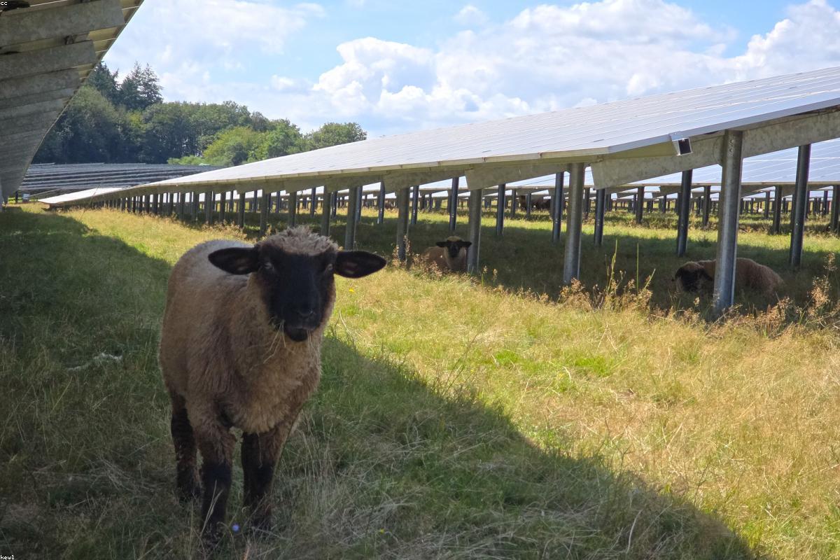 Utility-scale solar power plant installation